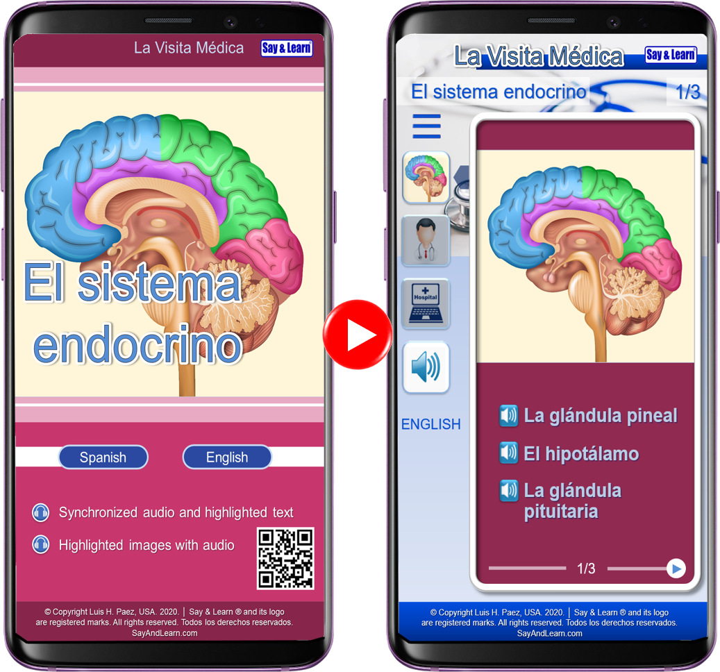 ElEndocrinoCellPhone03