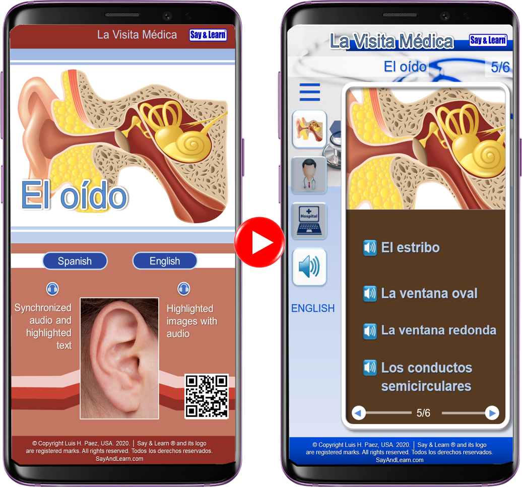 ElOidoCellPhone3